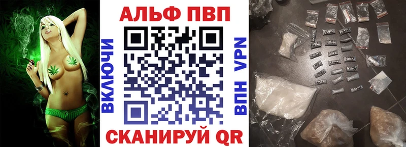 Купить где  Ленинградская  Альфа ПВП крисы CK 